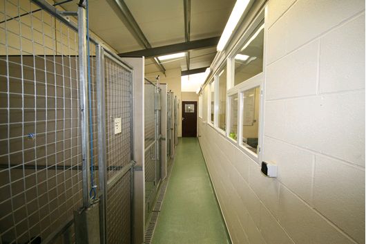 LAA kennel corridor before refurb