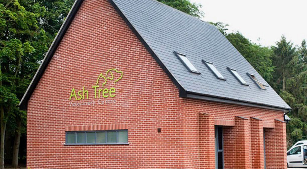 Case Study - Ash Tree (1)