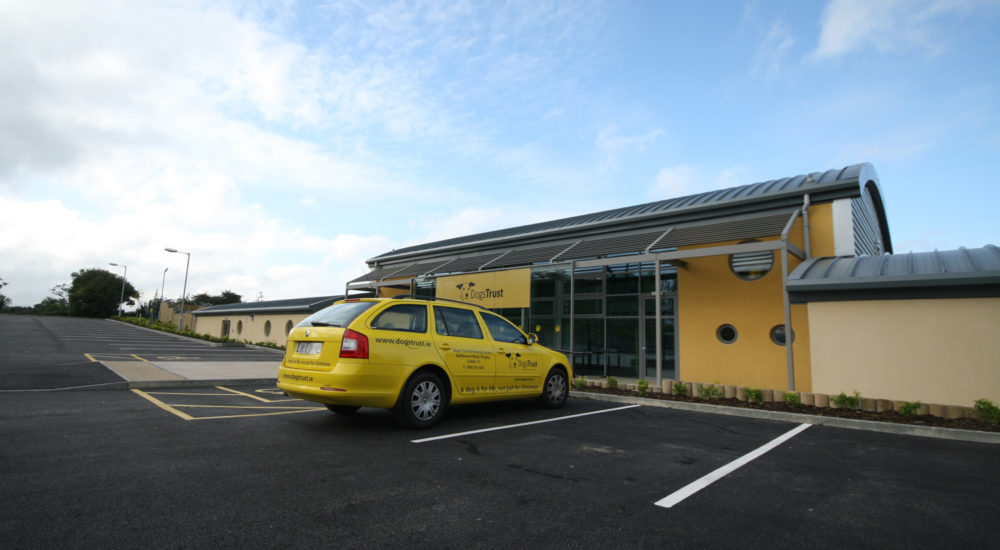 Case Study - Dogs Trust - Dublin (15)