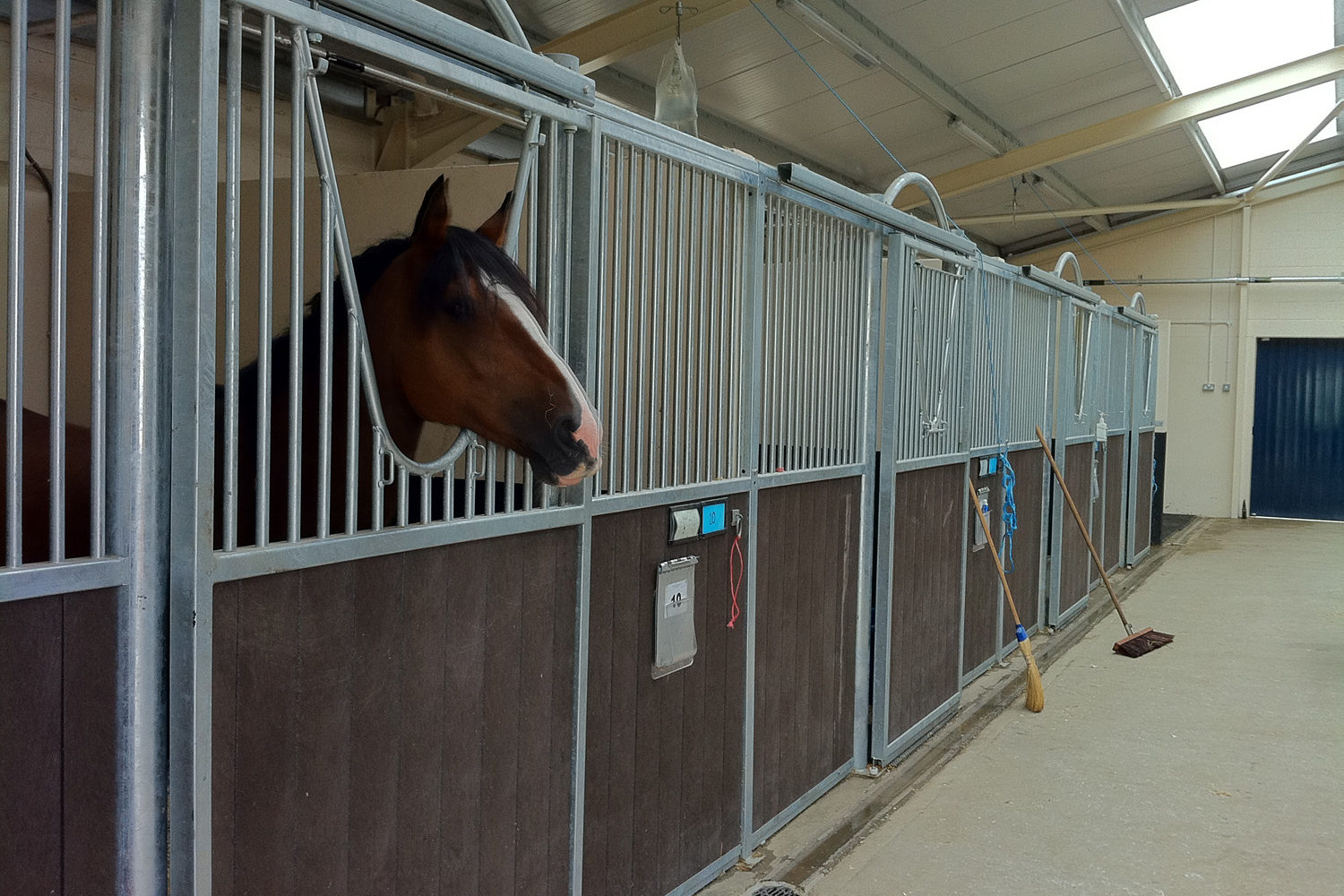 Liphook Equine Hospital