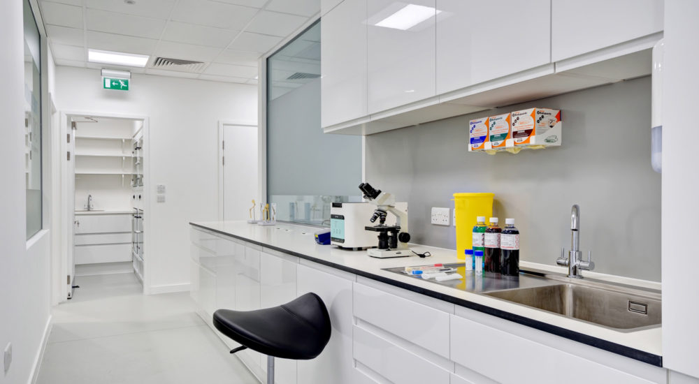 Case Study - London Cat Clinic (10)