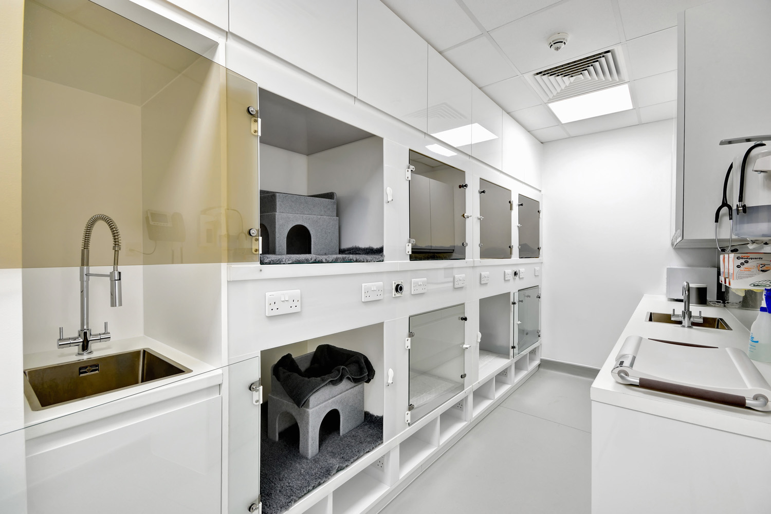 veterinary clinic case study