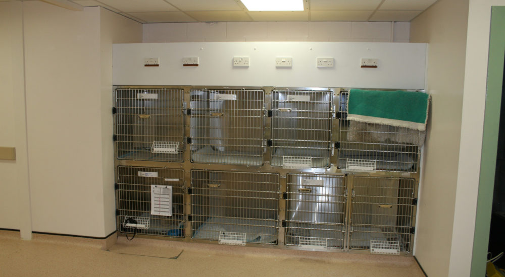 Case Study - Vets Now - Glasgow (10)