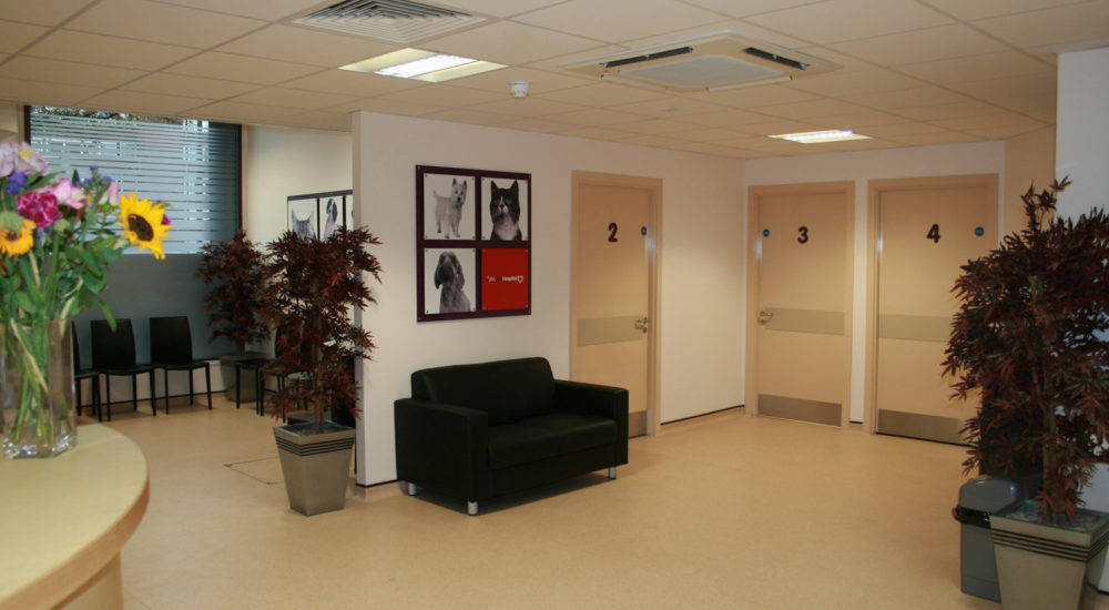 Case Study - Vets Now - Glasgow (23)