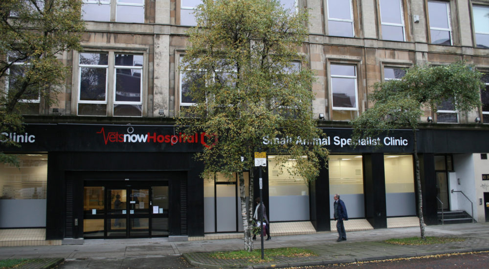 Case Study - Vets Now - Glasgow (29)