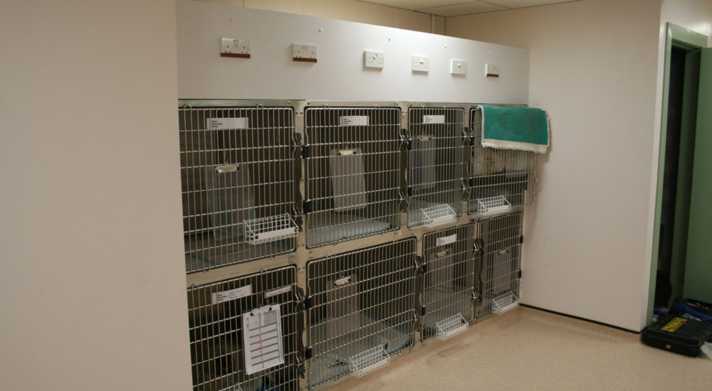 Case Study - Vets Now - Glasgow (6)