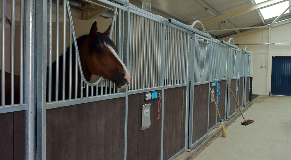 Liphook Equine Hospital (5)