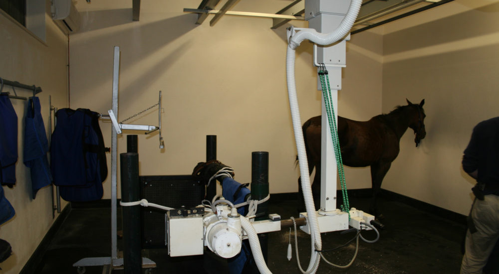 Liphook Equine Hospital (9)