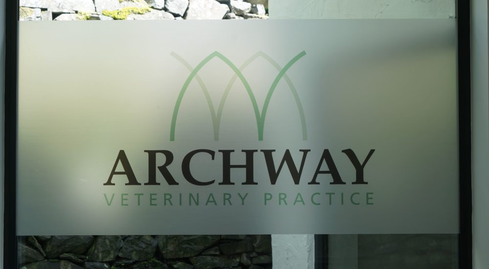 Archway Veterinary Practice